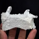 specimen video