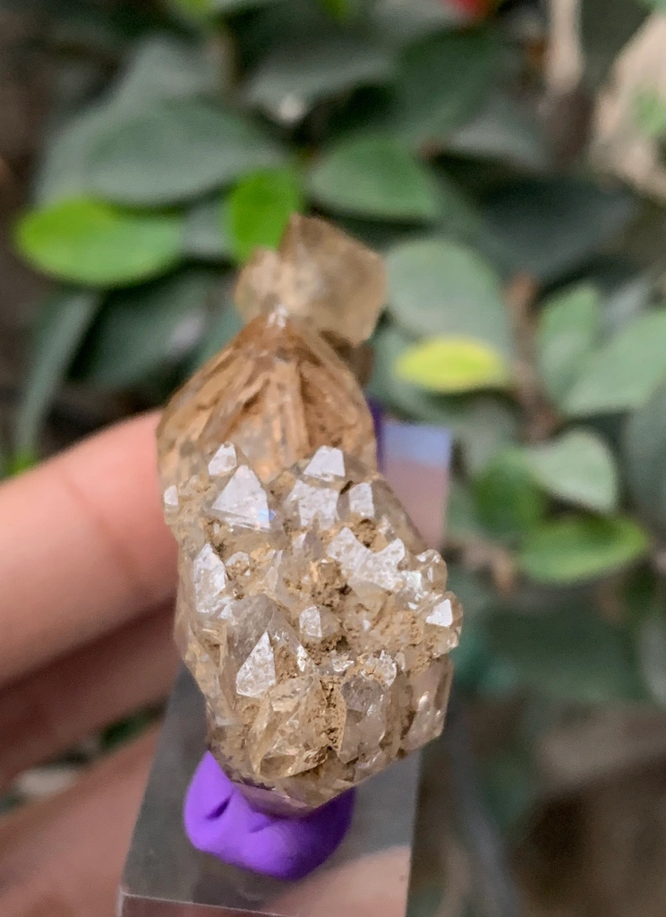 Quartz from Balochistan, Pakistan image