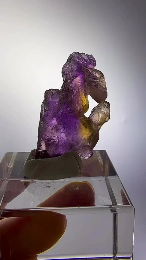 specimen video