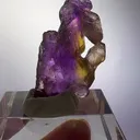 specimen video