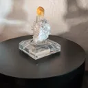 specimen video