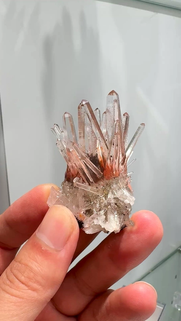 specimen video