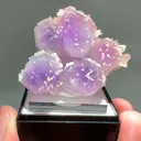 specimen video