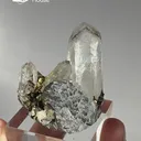 specimen video