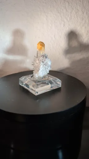 specimen video