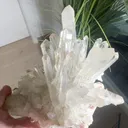 specimen video