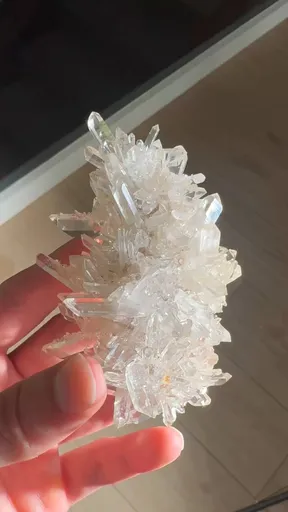 specimen video