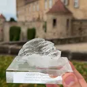 specimen video