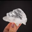 specimen video