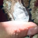 Quartz from Gilgit, Gilgit District, Gilgit-Baltistan, Pakistan - image 7