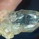 specimen video
