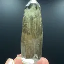 specimen video
