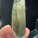 specimen video