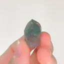 specimen video
