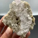 specimen video