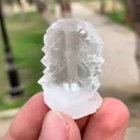 specimen video