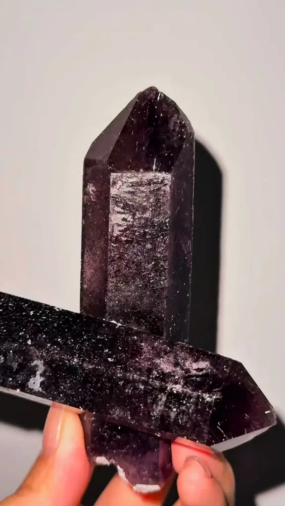 specimen video