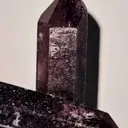 specimen video