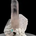 specimen video