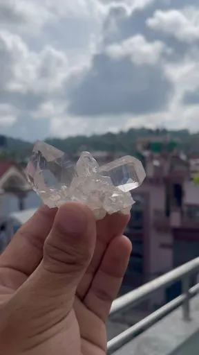 specimen video