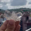 specimen video