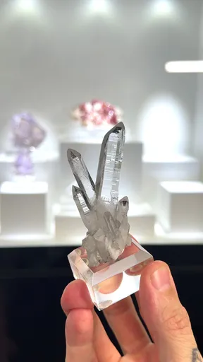 specimen video