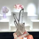 specimen video