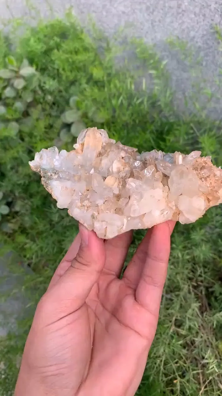 specimen video