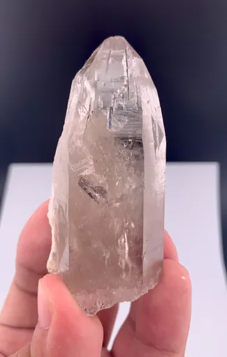 specimen video