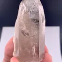 specimen video
