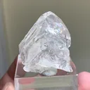 specimen video