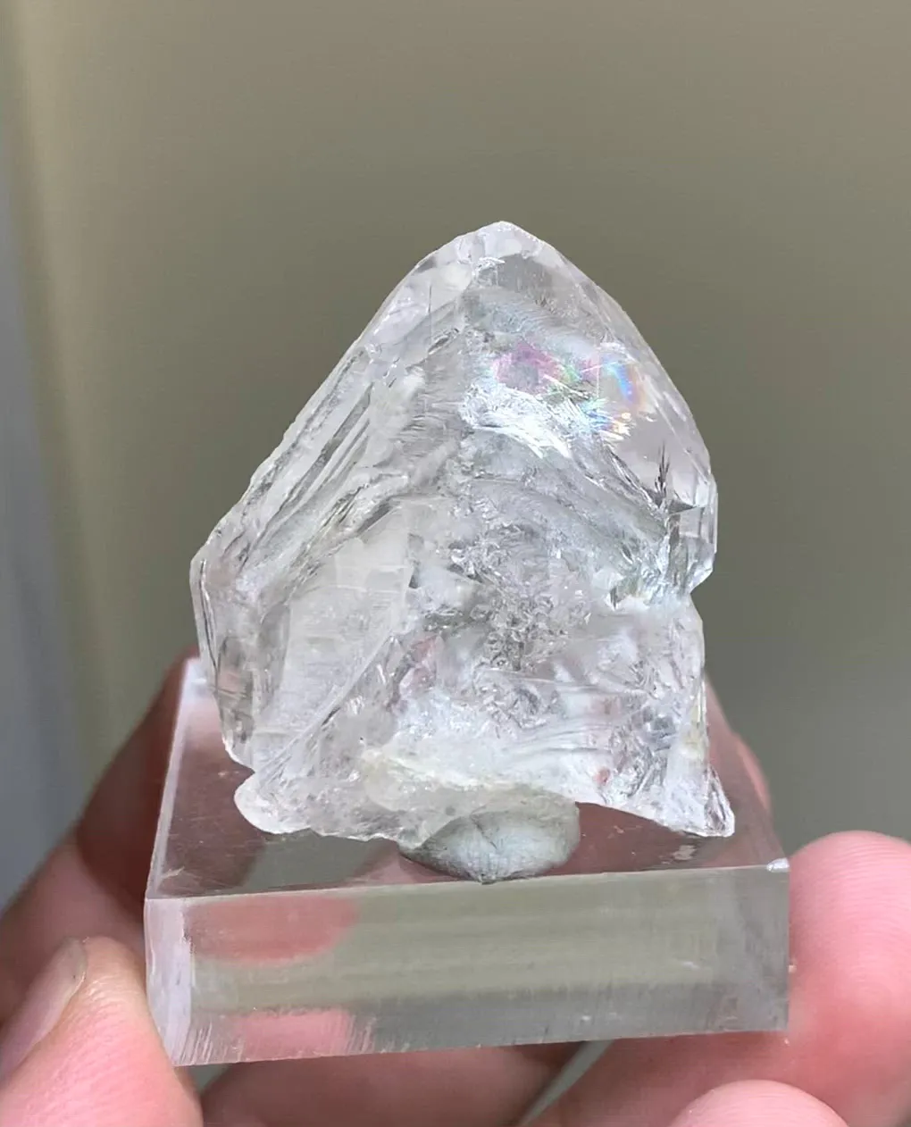 specimen video