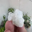 Quartz from Pakistan - image 4