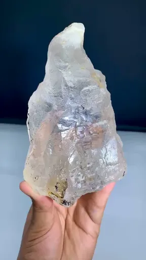 specimen video