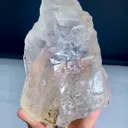 specimen video