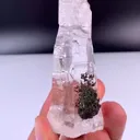 specimen video