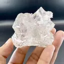 specimen video