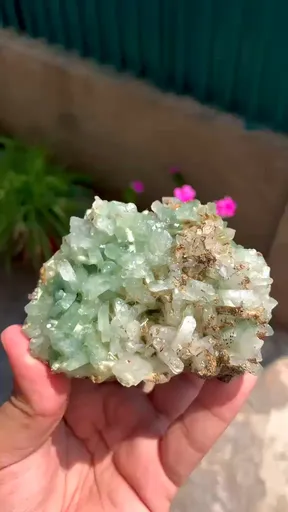 specimen video