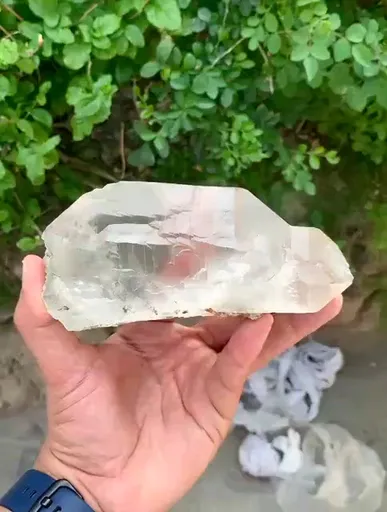 specimen video