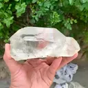 specimen video