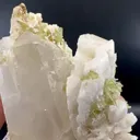 specimen video