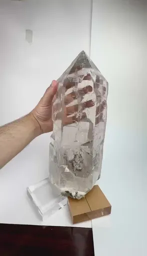 specimen video