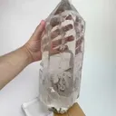 specimen video