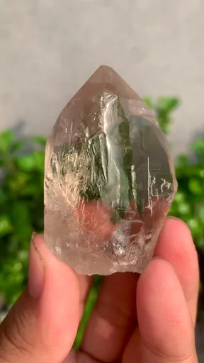 specimen video