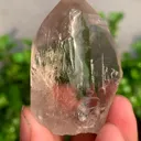 specimen video