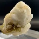 specimen video