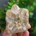 specimen video