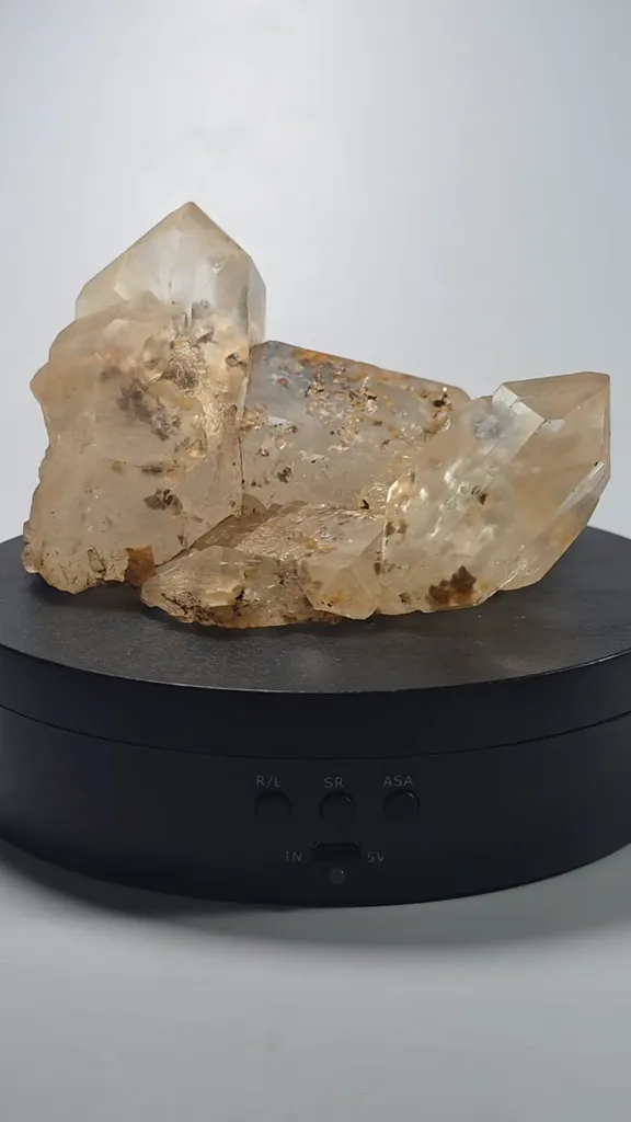 specimen video