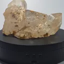specimen video