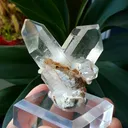 specimen video